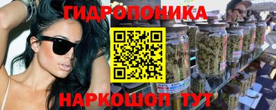 крисы Кунгур
