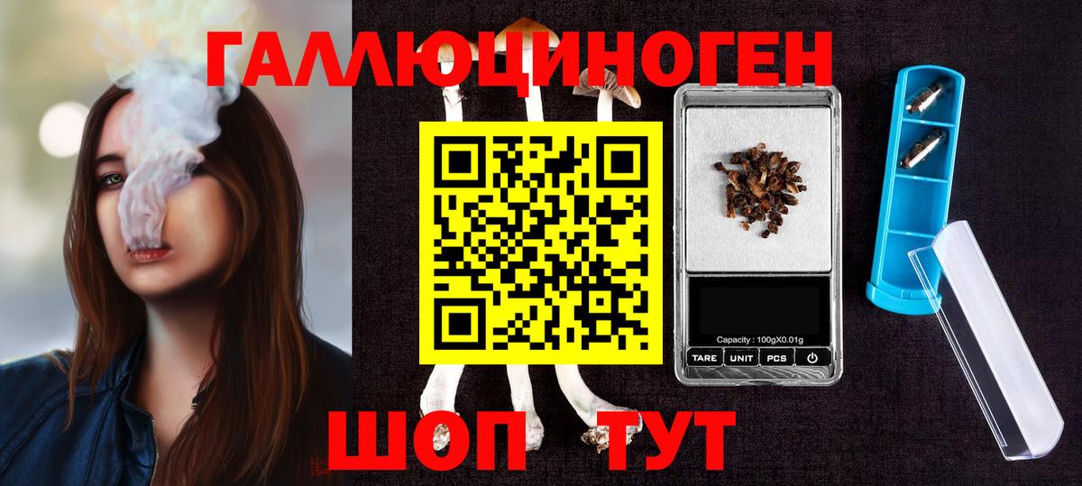 Шадринск  Псилоцибиновые грибы мухоморы  Псилоцибиновые грибы MAGIC MUSHROOMS  Вход с VPN 